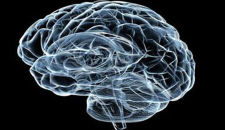 Nörologdan hafızayı güçlü tutmak için 4 öneri