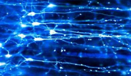 Neuralink Shows Quadriplegic Playing Chess with Brain Implant