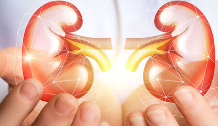 Böbrek Kanseri Nasıl Teşhis Edilir? Tedavi Yöntemleri Nelerdir?
