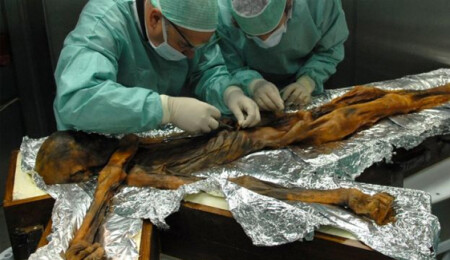 Buz adam Ötzi'nin son yemeği: "Keçi yağı ve yabani geyik"