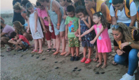 Carettalar denizle buluştu