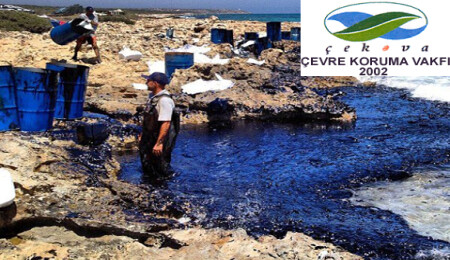 ÇEKOVA Başkanı Atakol, Kalecik'te yaşanan çevre felaketine değindi