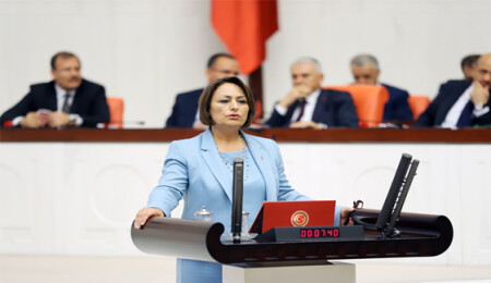 CHPli Şevkin TBMMde konuştu: "Adana-KKTC feribot seferleri destek görmelidir"