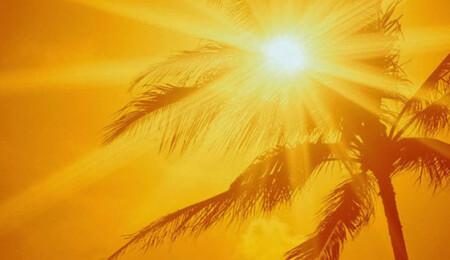 D Vitamini Nelerde Bulunur? D Vitamini Eksikliği ve Faydaları