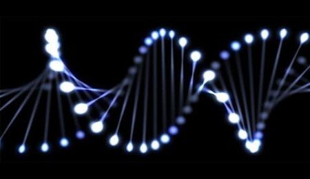 Gürkan: "Kıbrıslı Türkler, kendine özgü genetik yapıya sahip"