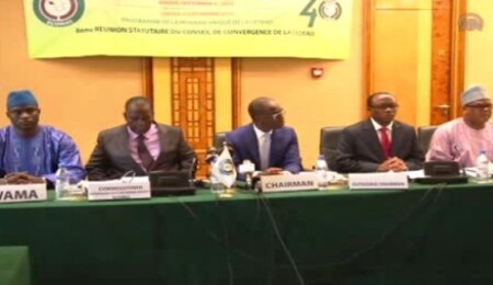 Batı Afrika'da ortak para birimi kullanılması...