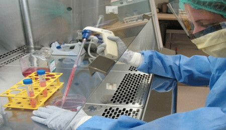 Japonya'da 1 kişide gizemli hepatit vakası saptandı