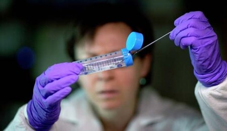 DSÖ'den Ebola uyarısı: Aşı çalışmaları dokuz ay kadar sürebilir