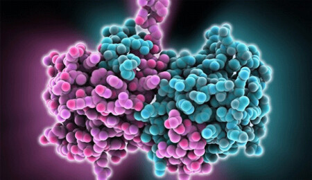 Ebola virüsü mutasyon geçiriyor