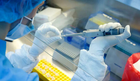 Güney’de son 6 ayda 6 endemik tifüs vakasına rastlandı