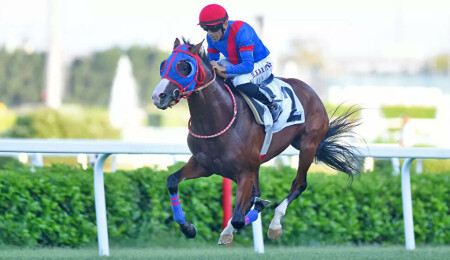 Atını yumruklayan jokey Halis Karataş'ın cezası belli oldu