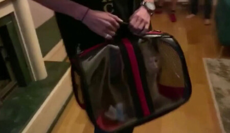 Sosyal medya fenomenine ikinci maymun operasyonu