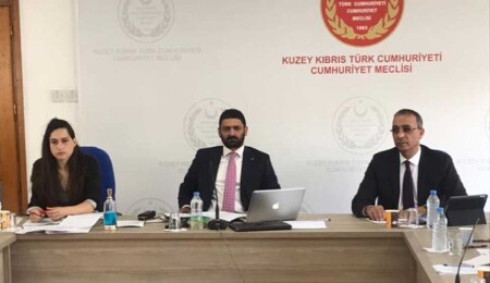 2020 Mali Yılı Ek Bütçe Yasa Tasarısı, Ekonomi Komitesi'nde onaylandı