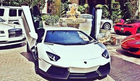 'El Chapo' Guzman davası: "Bahçesinde panterlerin gezdiği malikâneleri vardı"