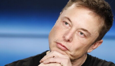 Elon Musk'a porno filmde oynama teklifi