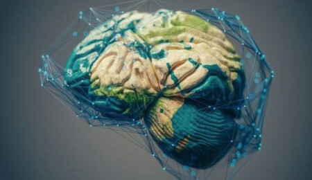 Elon Musk'tan Mark Zuckerberg'e ünlü girişimcilerin '20 saatte öğrenme' sırrı