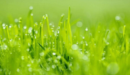 Ersağ Kozmetik Nedir?