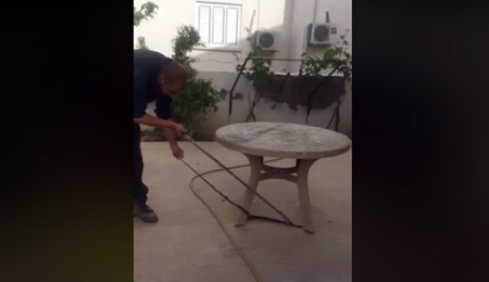 Eve giren yılan, Taşkent Doğa Parkı ekiplerince yakalanarak doğaya bırakıldı