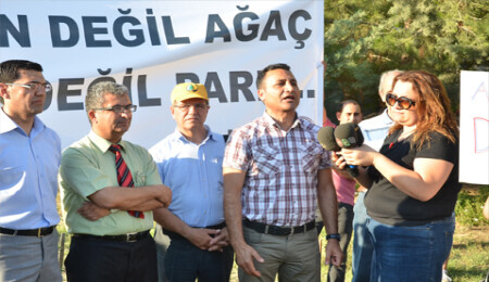 Sivil toplum örgütleri: "Ağaçları kestirmeyiz!"