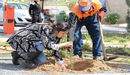 ODTÜ Kuzey Kıbrıs Kampüsü'nde 2 bin fidan dikildi