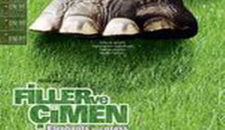 Derviş Zaim Filmleri gösteriliyor