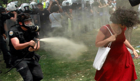 "Kırmızılı Kadın" davası sonuçlandı; biber gazı sıkan polis 600 ağaç dikecek