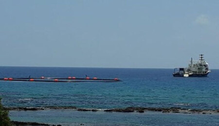 Gırgırlar yine Karpaz'da göründü