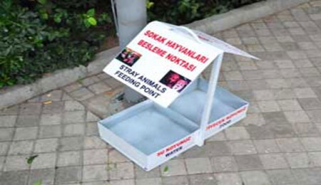 Veterinerler Girne Belediyesi'ni eleştirdi