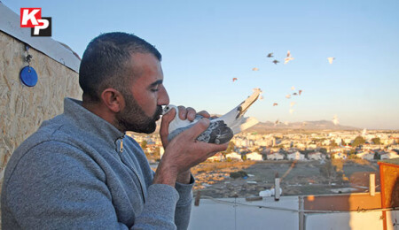 Güvercin besicisi Adnan İstek: "Kumara değil güvercinlerinize sarılın"