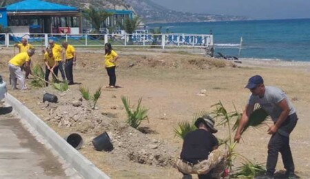 Güzelyalı halk plajı ağaçlandırıldı