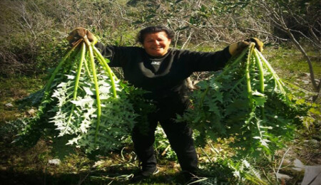 Böylesi görülmedi