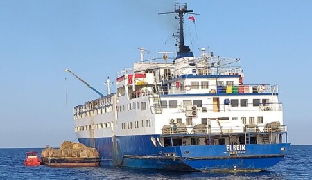 Denizde mahsur kalan buzağılar İspanya'ya geri dönüyor