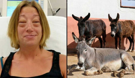 ‘İyi geliyor’ diye eşek sütü içti, ölümden döndü