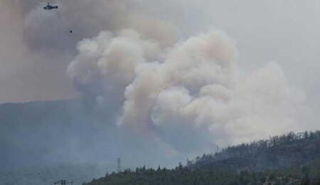 İzmir'de dün başlayan makilik ve orman yangını devam ediyor