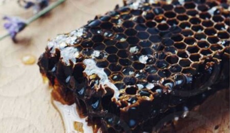 Kanser hücrelerinin yeni silahı "siyah bal" 