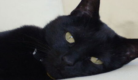 En garip batıl inançlar