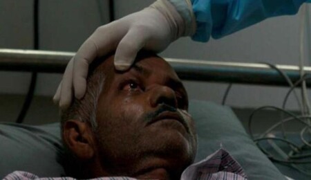 Arjantin'de kara mantar hastalığı tespit edildi