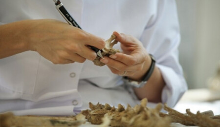 İrlanda'dan, Kayıp Şahıslar Komitesi'ne 25 bin Euro bağış