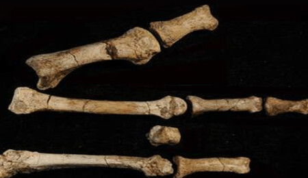 Aziz Yorgonun kemiklerini çalıp eve götürdü