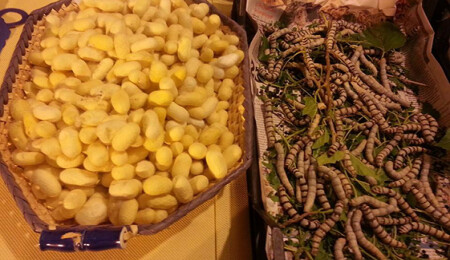 Koza el işiyle uğraşanlar için toplantı düzenlenecek