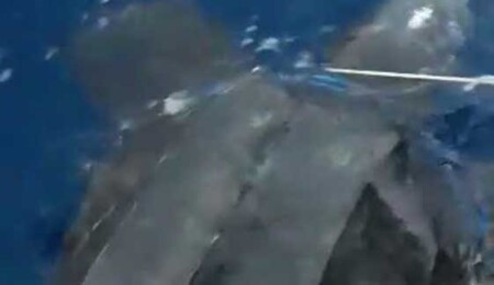 Kuzey Kıbrıs'ta ilk defa deri sırtlı deniz kaplumbağası gözlendi