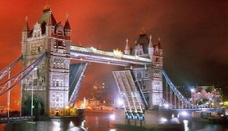 Londra'ya tilki indi