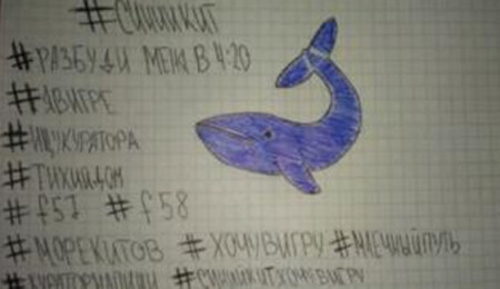 Mavi Balina oyunundan kurtulanlar anlatıyor: 'Tam anlamıyla sanal ölüm tuzağı'