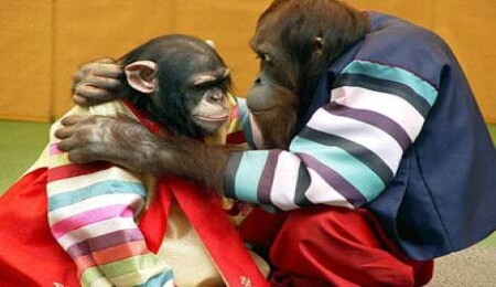 Et varsa seks de var