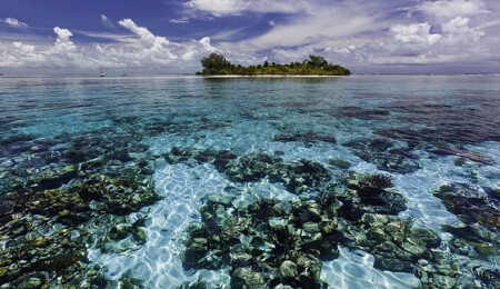Doğal miras alanlarının yarısı tehdit altında