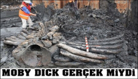 Moby Dick efsanesi gerçek miydi?