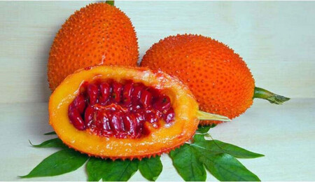 Kudret narının sağlığa inanılmaz etkileri