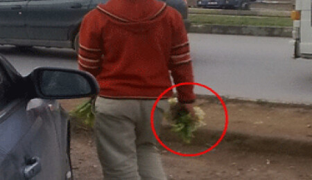 Biyologlar Derneği: "Yabani nergis satışlarını polise bildirin"