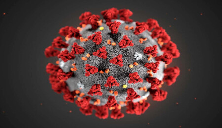 Koronavirüs neden ve nasıl mutasyona uğruyor?