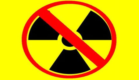 Nükleere Hayır Platformu, Cumartesi ara bölgede panel düzenleyecek